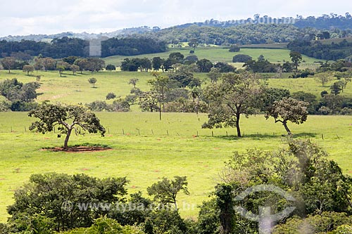  Vegetação típica do cerrado próximo à cidade de Mossâmedes  - Mossâmedes - Goiás (GO) - Brasil