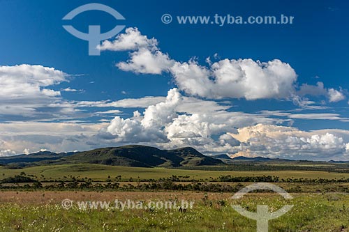  Vista de vegetação típica do cerrado na Chapada dos Veadeiros  - Alto Paraíso de Goiás - Goiás (GO) - Brasil