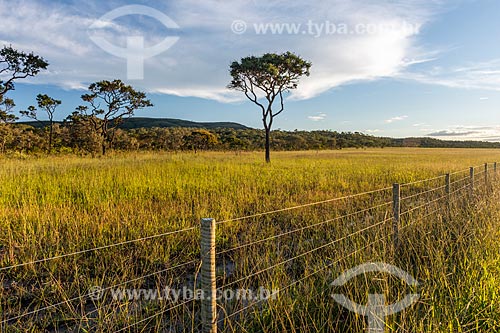  Vista de vegetação típica do cerrado na Chapada dos Veadeiros durante o pôr do sol  - Alto Paraíso de Goiás - Goiás (GO) - Brasil