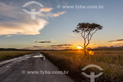  Vista de vegetação típica do cerrado na Chapada dos Veadeiros durante o pôr do sol  - Alto Paraíso de Goiás - Goiás (GO) - Brasil