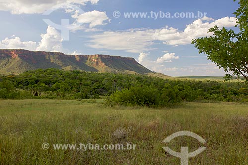  Vista da Serra das Mangabeiras no Parque Nacional das Nascentes do Rio Parnaíba  - Barreiras do Piauí - Piauí (PI) - Brasil