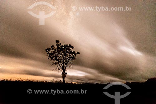  Vegetação típica do cerrado na Chapada dos Veadeiros à noite  - Alto Paraíso de Goiás - Goiás (GO) - Brasil