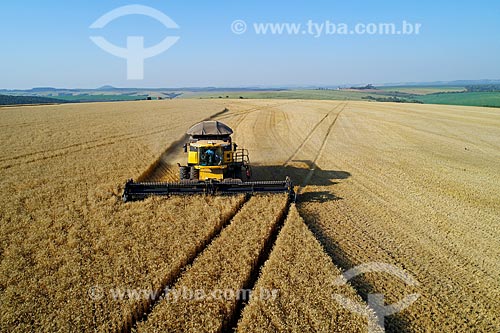  Foto aérea de colheita mecanizada de trigo  - Arapoti - Paraná (PR) - Brasil