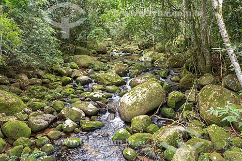  Poço do Soldado no Parque Estadual da Ilha Grande  - Angra dos Reis - Rio de Janeiro (RJ) - Brasil