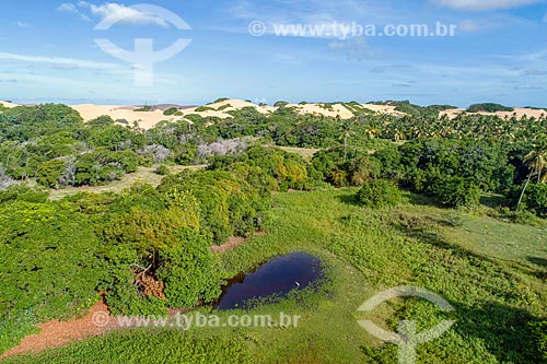  Foto feita com drone da APA de Piaçabuçu  - Piaçabuçu - Alagoas (AL) - Brasil