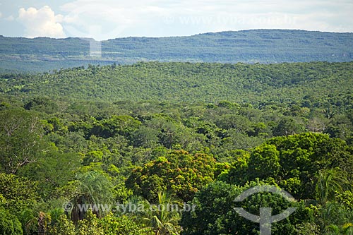  Vegetação típica do cerrado no interior do estado de Goiás  - Baliza - Goiás (GO) - Brasil