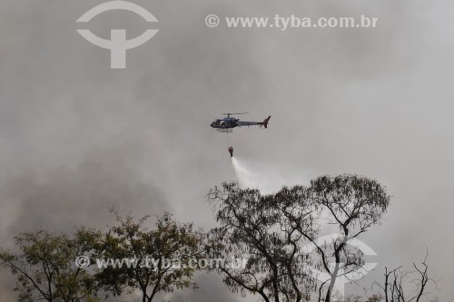 Helicóptero apagando incêndio em mata nativa - Antiga área do IPA (Instituto Penal Agrí­cola) - São José do Rio Preto - São Paulo (SP) - Brasil