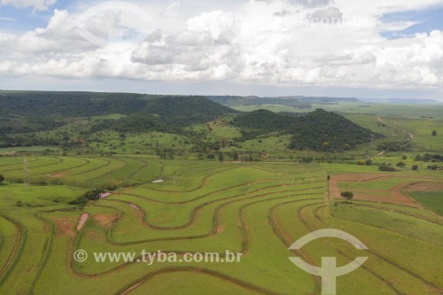 Foto feita com drone de canavial e pasto com cuestas ao fundo - Barra Bonita - São Paulo (SP) - Brasil