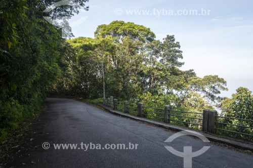 Estrada do Sumaré - Parque Nacional da Tijuca - Rio de Janeiro - Rio de Janeiro (RJ) - Brasil