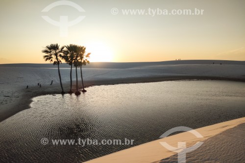 Lagoa e dunas no Parque Nacional dos Lençóis Maranhenses  - Santo Amaro do Maranhão - Maranhão (MA) - Brasil