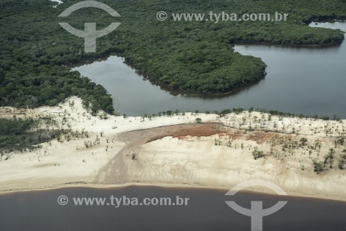 Vista aérea da floresta amazônica - Manaus - Amazonas (AM) - Brasil