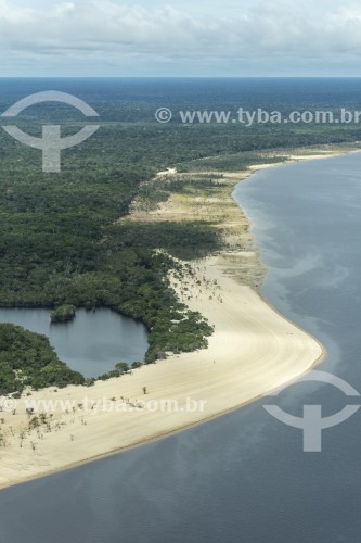 Vista aérea da floresta amazônica - Manaus - Amazonas (AM) - Brasil