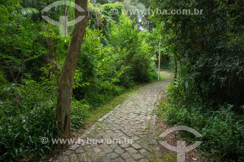 Bosque Municipal de Portugal - Curitiba - Paraná (PR) - Brasil