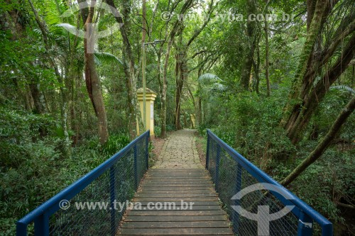 Bosque Municipal de Portugal - Curitiba - Paraná (PR) - Brasil