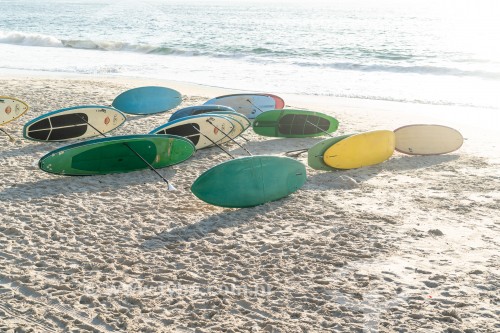 Pranchas de stand up paddle para aluguel na Praia de Copacabana - Rio de Janeiro - Rio de Janeiro (RJ) - Brasil