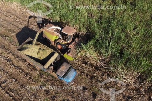 Foto feita com drone de automotrix fazendo silagem de cana-de-açúcar para o gado - Mirassol - São Paulo (SP) - Brasil