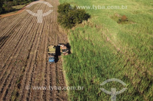 Foto feita com drone de automotrix fazendo silagem de cana-de-açúcar para o gado - Mirassol - São Paulo (SP) - Brasil