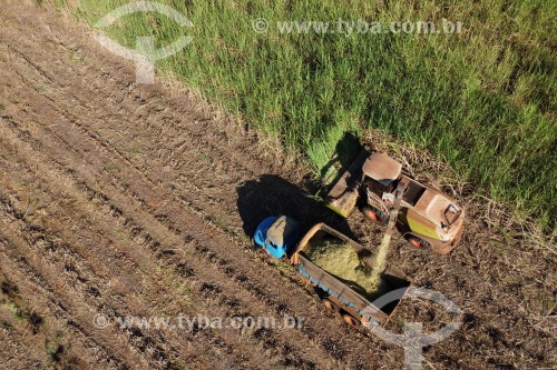 Foto feita com drone de automotrix fazendo silagem de cana-de-açúcar para o gado - Mirassol - São Paulo (SP) - Brasil