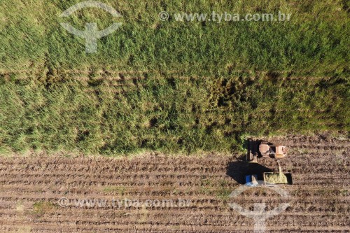 Foto feita com drone de automotrix fazendo silagem de cana-de-açúcar para o gado - Mirassol - São Paulo (SP) - Brasil