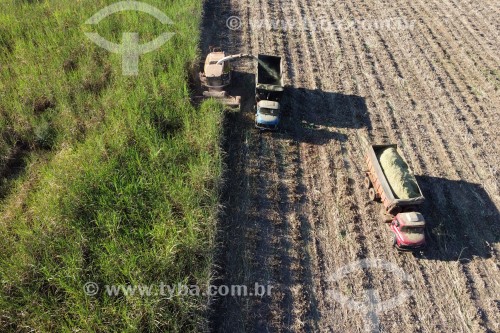 Foto feita com drone de automotrix fazendo silagem de cana-de-açúcar para o gado - Mirassol - São Paulo (SP) - Brasil