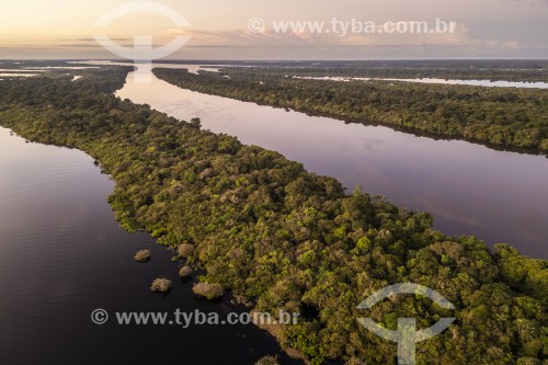 Foto feita com drone de ilhas fluviais - Parque Nacional de Anavilhanas  - Manaus - Amazonas (AM) - Brasil