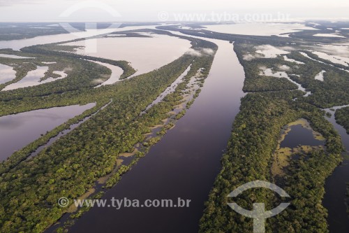 Foto feita com drone de ilhas fluviais - Parque Nacional de Anavilhanas  - Manaus - Amazonas (AM) - Brasil