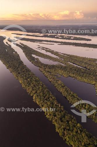 Foto feita com drone de ilhas fluviais - Parque Nacional de Anavilhanas  - Manaus - Amazonas (AM) - Brasil