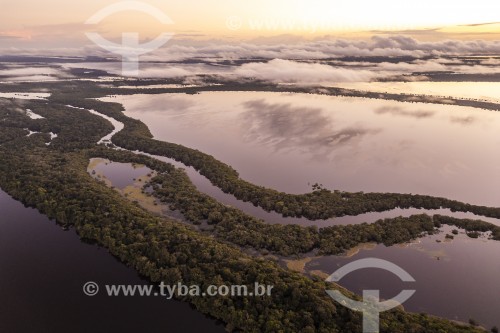 Foto feita com drone de ilhas fluviais - Parque Nacional de Anavilhanas  - Manaus - Amazonas (AM) - Brasil