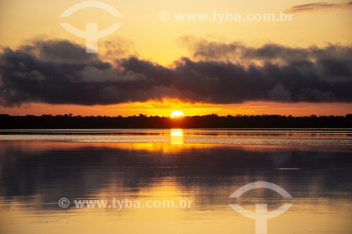 Amanhecer no Parque Nacional de Anavilhanas  - Manaus - Amazonas (AM) - Brasil