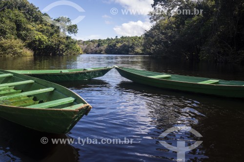 Canoas no Parque Nacional de Anavilhanas  - Manaus - Amazonas (AM) - Brasil