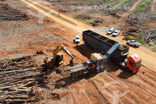 Foto feita com drone de picador de árvores trabalhando na produção de biomassa em seringal que foi erradicado - Planalto - São Paulo (SP) - Brasil