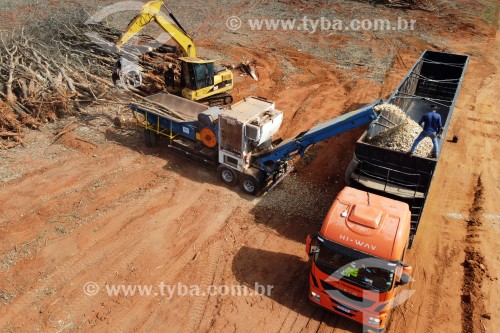 Foto feita com drone de picador de árvores trabalhando na produção de biomassa em seringal que foi erradicado - Planalto - São Paulo (SP) - Brasil