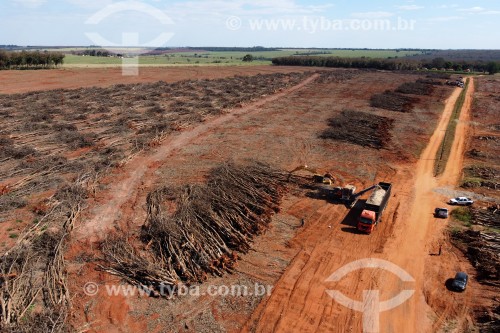 Foto feita com drone de picador de árvores trabalhando na produção de biomassa em seringal que foi erradicado - Planalto - São Paulo (SP) - Brasil