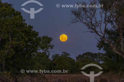 Vista de paisagem do Pantanal ao por do sol - Refúgio Caiman - Miranda - Mato Grosso do Sul (MS) - Brasil