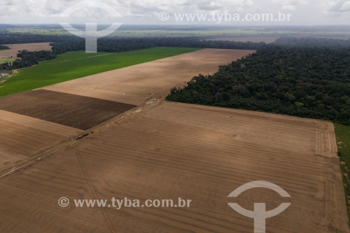 Foto feita com drone de área agrícola - Alto Paraíso - Rondônia (RO) - Brasil