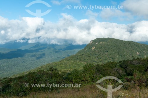 Morro Pedra Branca visto da trilha do Pico Camapuã - Parque Estadual Pico Paraná - Paraná (PR) - Brasil