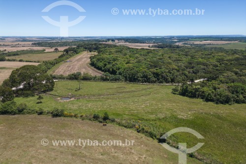 Foto feita com drone de pequenas propriedades rurais e APA da Escarpa Devoniana - Lapa - Paraná (PR) - Brasil