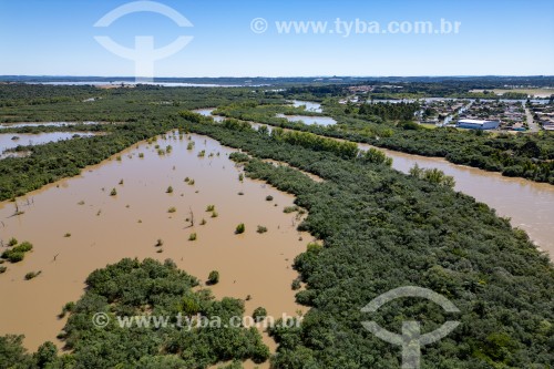 Foto feita com drone de cheia no Rio Iguaçu no ano de 2023 - São Mateus do Sul - Paraná (PR) - Brasil