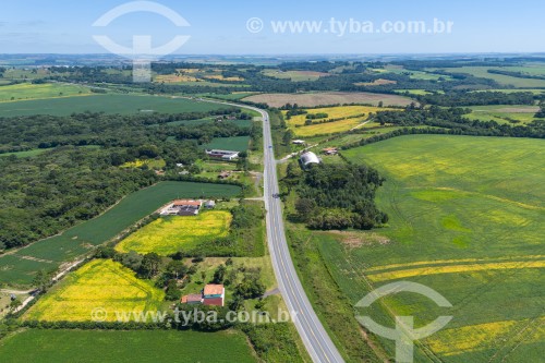 Foto feita com drone da Rodovia BR-476 (Rodovia do Xisto) e pequenas propriedades rurais - Lapa - Paraná (PR) - Brasil