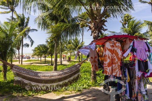 Coqueiros na orla da Praia de Tambaú - João Pessoa - Paraíba (PB) - Brasil