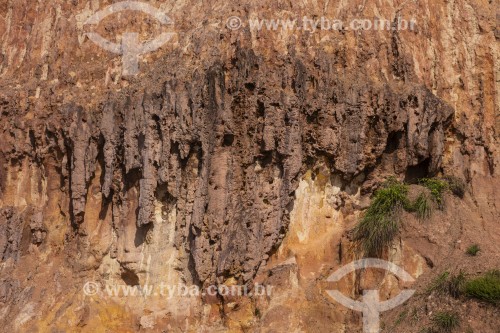 Detalhe de falésia na Praia do Madeiro - Tibau do Sul - Rio Grande do Norte (RN) - Brasil