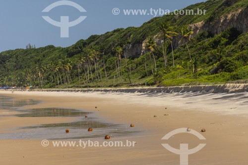 Falésias na Praia do Madeiro - Tibau do Sul - Rio Grande do Norte (RN) - Brasil