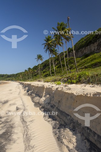 Falésias na Praia do Madeiro - Tibau do Sul - Rio Grande do Norte (RN) - Brasil