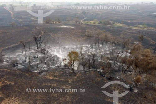 Foto feita com drone de incêndio em área de reserva legal e pastagens - Neves Paulista - São Paulo (SP) - Brasil