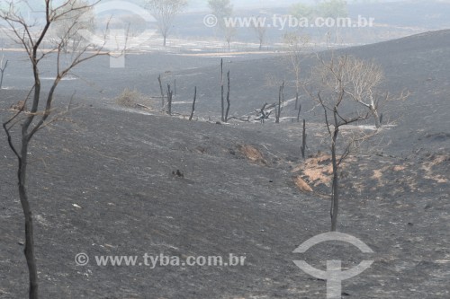 Incêndio em área de reserva legal e pastagens - Neves Paulista - São Paulo (SP) - Brasil