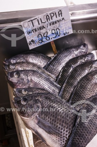 Peixes à venda no Mercado do Rio Vermelho (Ceasinha) - Salvador - Bahia (BA) - Brasil