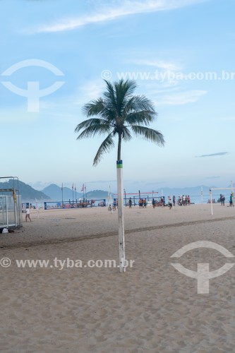 Detalhe de palmeira em cima de trave de madeira - Praia de Copacabana - Rio de Janeiro - Rio de Janeiro (RJ) - Brasil