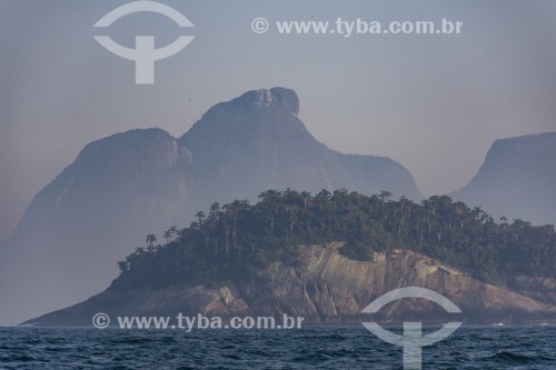 Ilha Palmas - parte do Monumento Natural das Ilhas Cagarras - com a Pedra da Gávea ao fundo - Rio de Janeiro - Rio de Janeiro (RJ) - Brasil