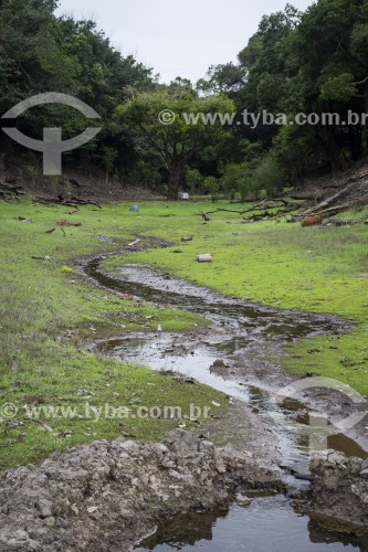 Igarapé seco próximo de pequena comunidade ribeirinha - Parque Nacional de Anavilhanas - Manaus - Amazonas (AM) - Brasil