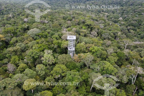 Foto feita com drone da torre de observação do Museu da Amazônia (MUSA) - Manaus - Amazonas (AM) - Brasil